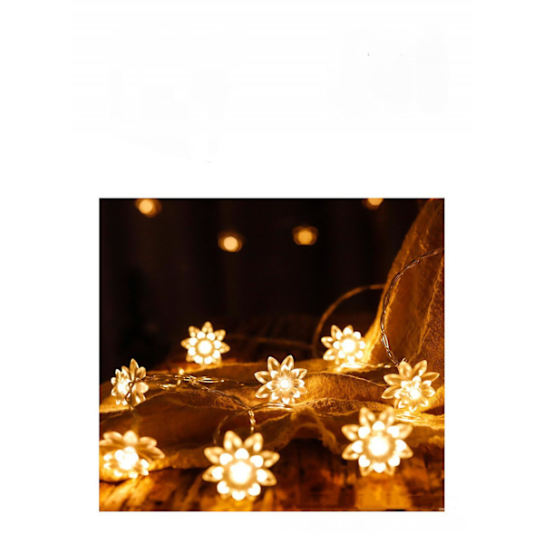 USB-drevet 6M 40LED Dobbeltlags Blomster LED Feelyse - Fungerer med enhver USB-port på Laptop, Telefonoplader, Perfekt til Jul Bryllup