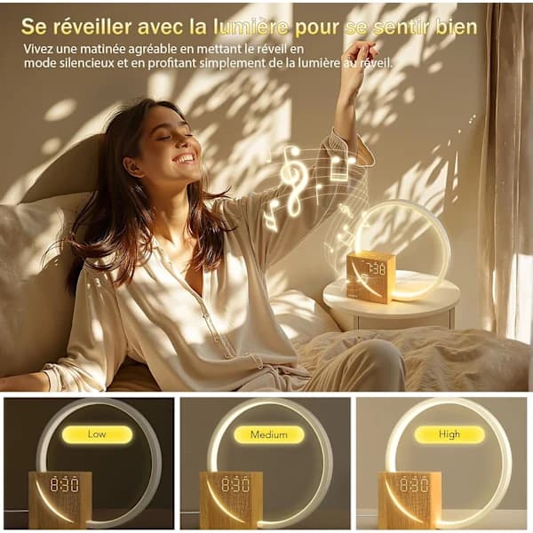 HA-10W Bedside Lamp with USB Charging, Wake-up Light Touch Control Dimmable Table Lamp Sleep Aid for Babies & Adults