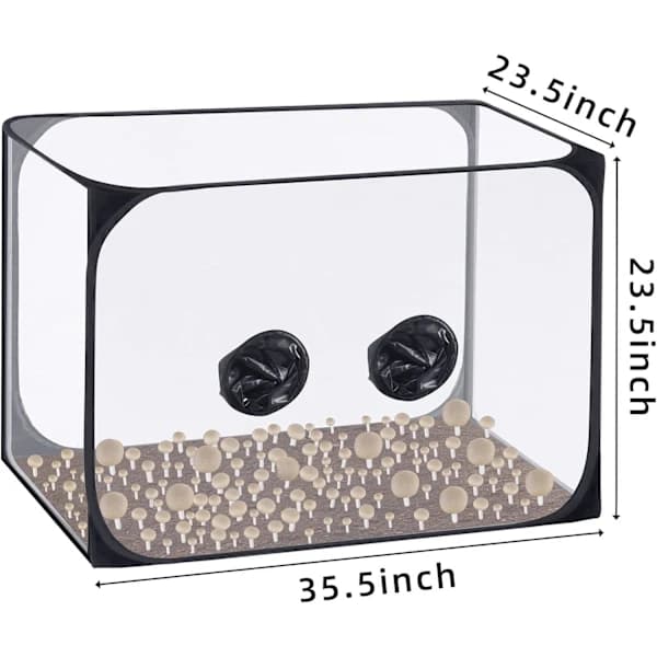 Svamp Still Air Box - Sammenleggbart soppdyrkingstelt (90 x 60 x 60 cm)