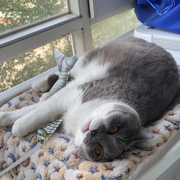 Interaktiv kattleksak, kattplyschleksak med klockor och rolig luftkudde Interaktiv katt Kreativ leksak för att döda tid och hålla sig i form är lämplig