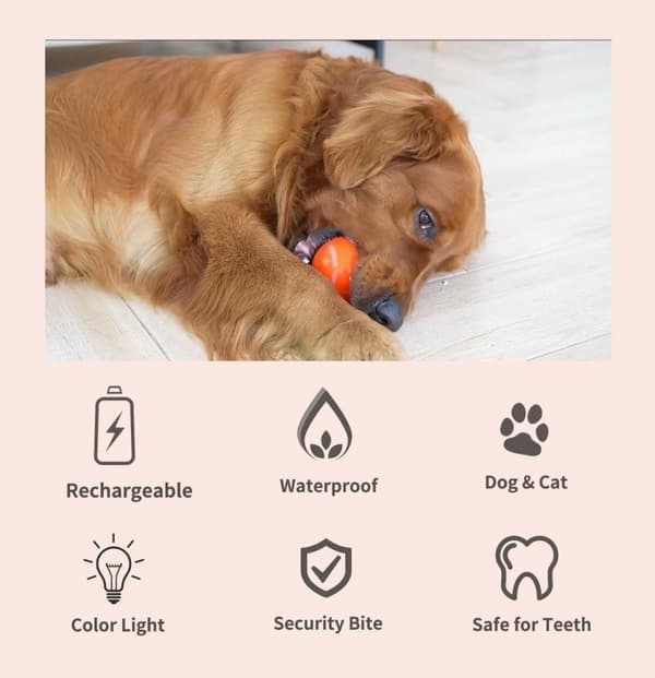 Smart Rolling Dog Ball - USB Rechargeable, Interactive Dog Toy for Medium/Large Dogs
