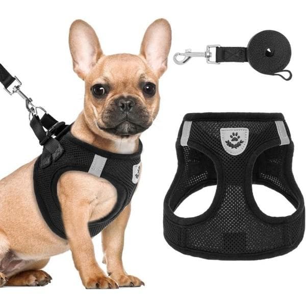 Lett justerbar hunde- og kattevogn, svart XS