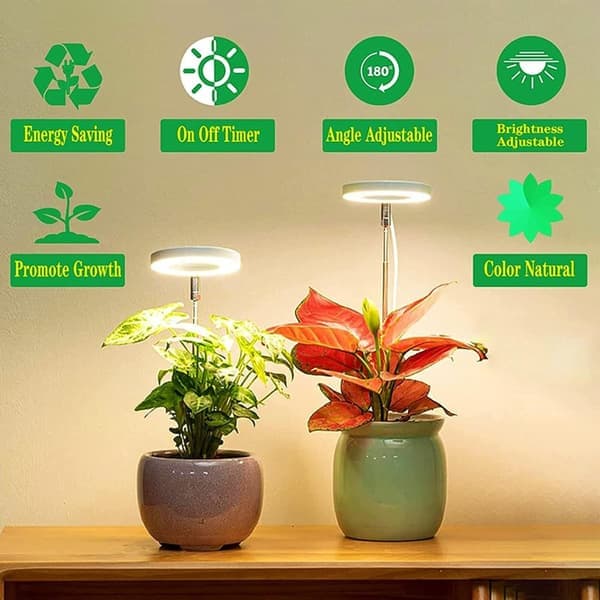 Plant Grow Light, Adjustable Height, Plant Growing Lamp with On/Off Timer (2/4/8 Hours) - Suitable for Small Plants