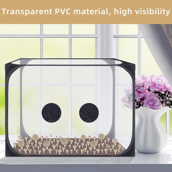 Svamp Still Air Box - Sammenleggbart soppdyrkingstelt (90 x 60 x 60 cm)