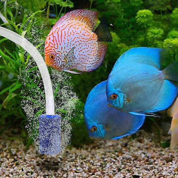 Akvarie Luftsten Cylinder Bobleudledning Luftsten Til Dam Fisk Tank Pumpe (6stk, Blå) -z