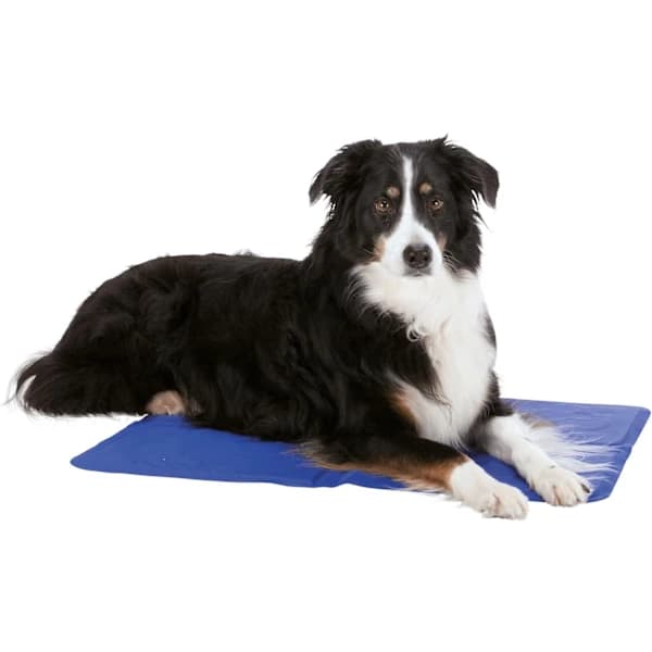HA~Kølemåtte til hunde og katte, 50 x 40 cm, blå, køler i flere timer, via kropskontakt