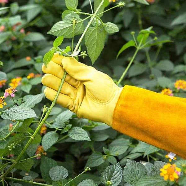 Lange læderhavehandsker til kvinder og mænd, tornfrie handsker,