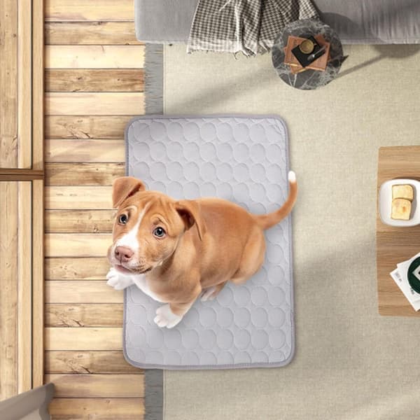 Hunde kølemåtte med kølig side, rivefast mesh, fugtabsorberende bomuldskerne, til hjem og rejser, blå, 20 x 12 cm