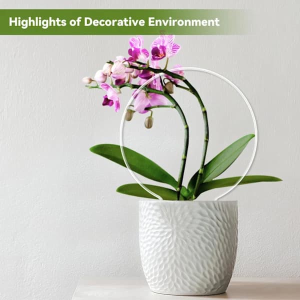 2-pack Runda Växtstöd för Krukväxter Inomhus Utomhus, Akryl Litet Växtstöd för Klätterväxter, Växtstöd för Monstera Blomma Philodendron