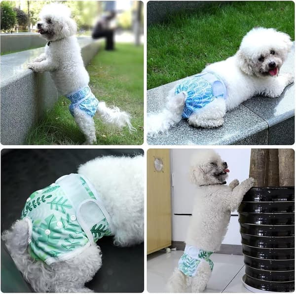 Tævehundebleer, vaskbar genanvendelig polyesternet, absorberende justerbar pasform, til løbetid og inkontinens, 3-pak, M 35-60 cm