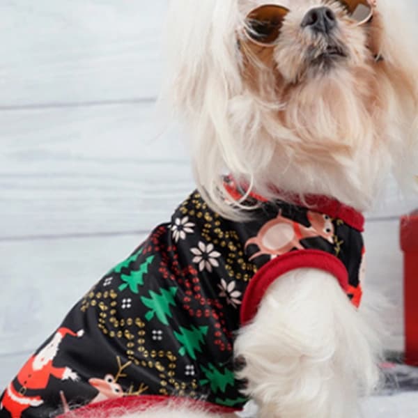 Hund Julkläder, För Små Hundar Kläder Jul, S M