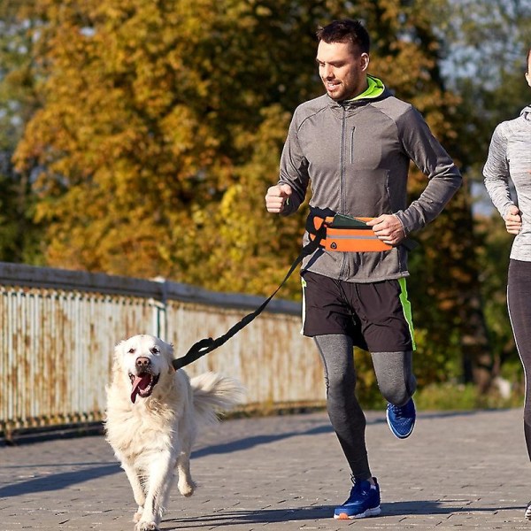 Håndfri hundekobbel med midjebelte for kjæledyrgåing løping jogging justerbar kobbel bryststropp trekk reflekterende tau