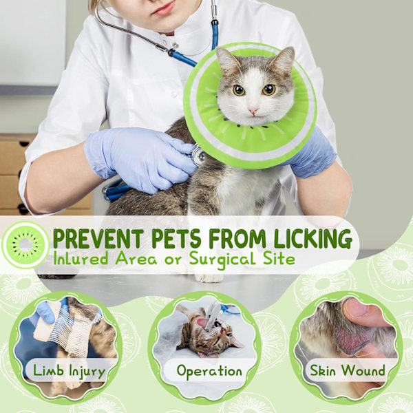 Justerbart Kattungekonhalsband - Bedårande Återhämtningshalsband för Katt, Elizabethanska Halsband för Kattunge Valp Efter Operation/HA/ Kiwi Large (fits 3-6.5kg)