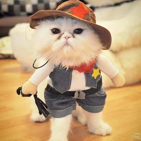 Julekostumer til hund eller kat Cowboy med hat