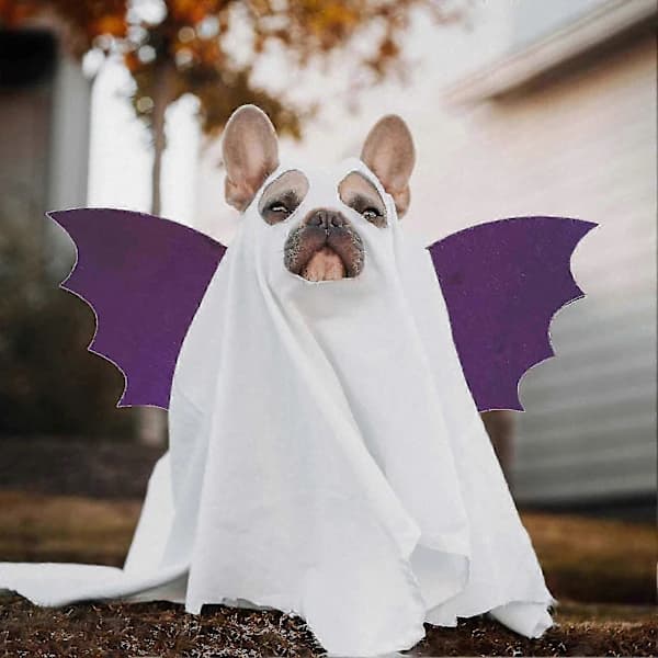 Mjuka och bekväma rollspelsfladdermusvingar för Halloween-festfavörer och presentutbyte