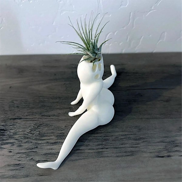 Morsom stor rumpe spøkelsesplanter, spøk gave dekor planter luftplante display stativ, stor rumpe spøkelsespla