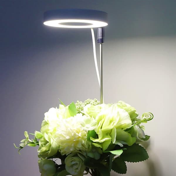 Plant Grow Light, Adjustable Height, Plant Growing Lamp with On/Off Timer (2/4/8 Hours) - Suitable for Small Plants