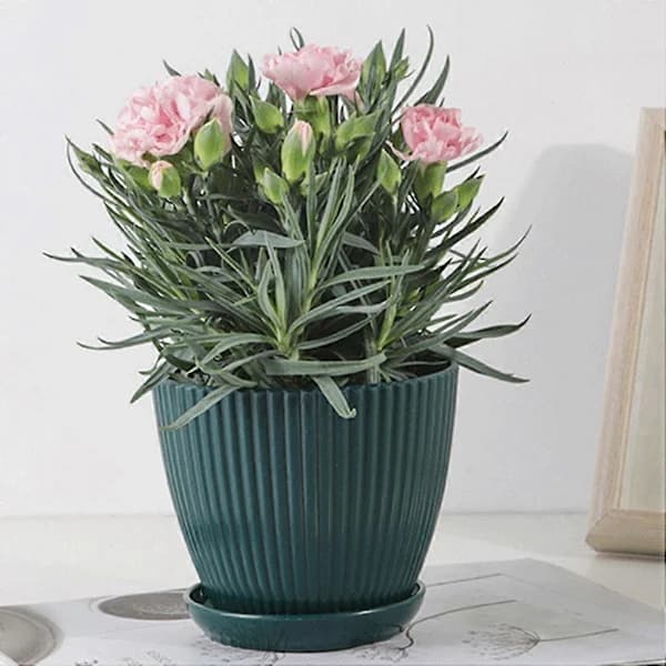HA-Plastpotter til planter, 5-pak 15 cm blomsterpotter med drænhuller og underskåle, til indendørs brug