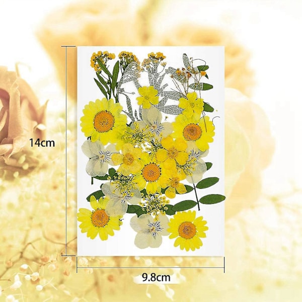 72 stk ekte tørkede pressede blomsterblader for DIY stearinlys harpiks smykker spiker anheng håndverk Ma