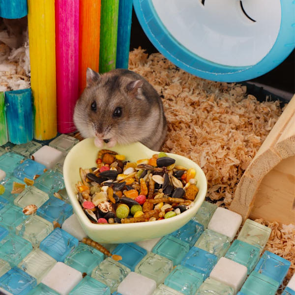 2 stk. Hamster Keramisk Matbolle Anti-Turning Mat & Vannfat for Hamster Gerbil Pinnsvin Rotte Gnaver (Grønn og Lilla)