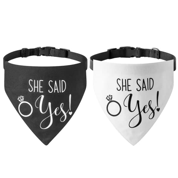Bröllopsbandana för Hund, 2-pack, Hundscarf, Förlovning B-L