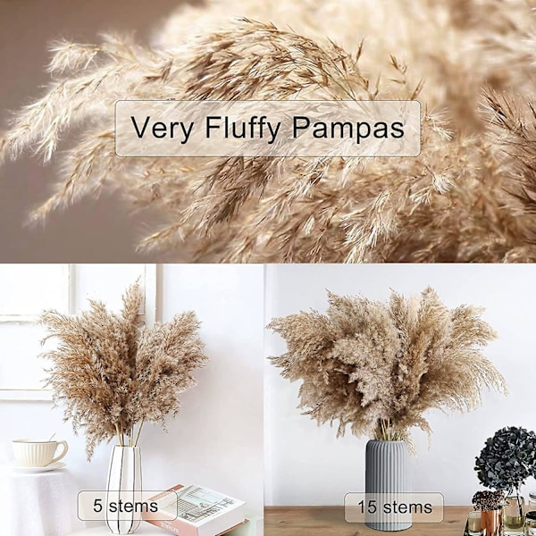 30 Stængler Tørret Pampasgræs, Vild Pampasgræs Fluffy Pompas Floral, 17\" Bulk Pampasgræs Dekoration Boho Flowes Tørrede Planter