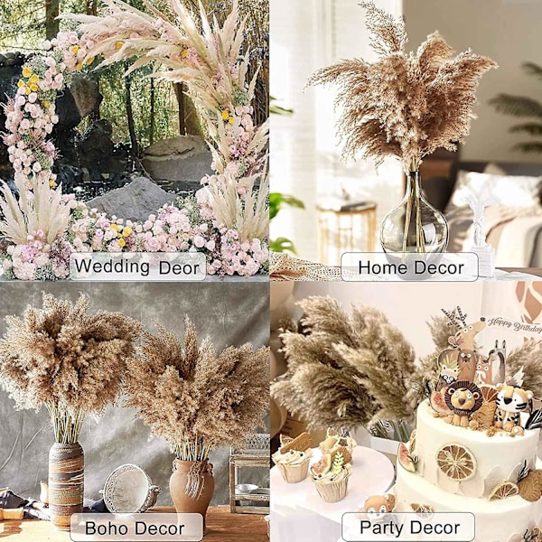 30 Stængler Tørret Pampasgræs, Vild Pampasgræs Fluffy Pompas Floral, 17\" Bulk Pampasgræs Dekoration Boho Flowes Tørrede Planter