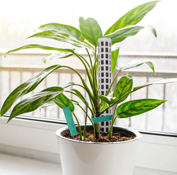 Mosstokke til klatreplanter, 2-pak stabelbare hule ABS-støtter med havebindere og 5 etiketter, til Monstera og Pothos