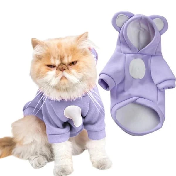 Höst- och vinterdjur söta ombyteskläder små hundar björnöron hundkläder vadderad varm Teddy Biker