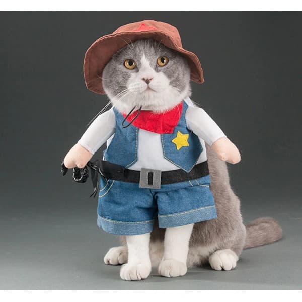 Julekostumer til hund eller kat Cowboy med hat
