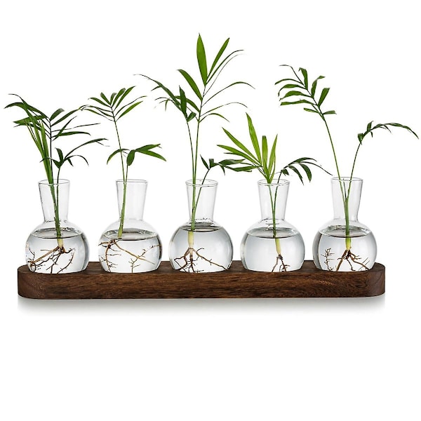 Plant Terrarium Propagation Station, Glass Planter Bulb Vase With Wooden Tray, Modern Bud Vases For