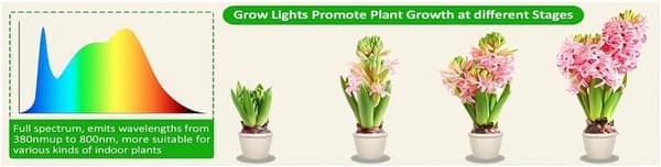 Plant Grow Light, Adjustable Height, Grow Light with On/Off Timer (3/9/12 Hours) - Suitable for Small Plants