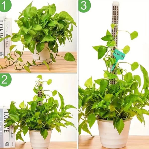 Mosstokke til klatreplanter, 2-pak stabelbare hule ABS-støtter med havebindere og 5 etiketter, til Monstera og Pothos