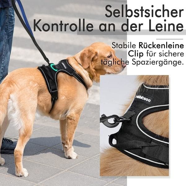 Medium Hundebærer, Anti-Træk Sele Hundesnor