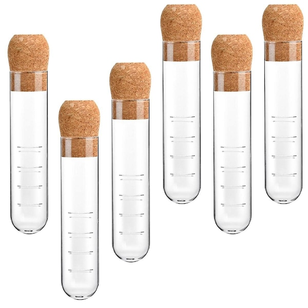 6 stk. glas teinfuser, glastefilter med korklåg, genanvendelig glasdiffuser til te, klar te S