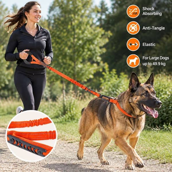 Hundetræningssnor, elastisk stødabsorberende og anti-sammenfiltring, 1,9 m, til store hunde op til 49,9 kg, orange