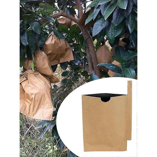 100-pack Fruktskyddspåsar Pappersmassa Trädgårdsväxt Fruktskyddspåsar 150*180mm