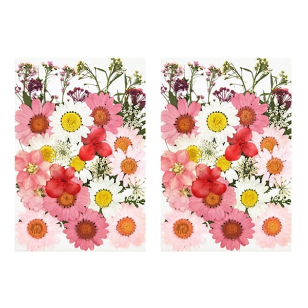 72 stk ekte tørkede pressede blomsterblader for DIY stearinlys harpiks smykker spiker anheng håndverk Ma