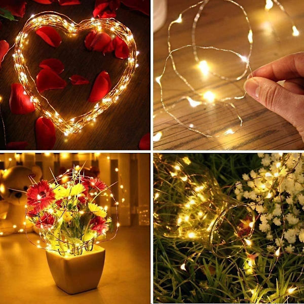 1M 10 Varmvita LED-lampor Koppartråd Plug in strömkälla Firefly Fairy Lights Bröllopsfest Juldekorationer Hem Sovrumsdekor