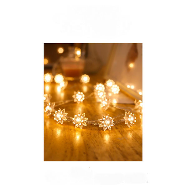 USB-drevet 6M 40LED Dobbeltlags Blomster LED Feelyse - Fungerer med enhver USB-port på Laptop, Telefonoplader, Perfekt til Jul Bryllup