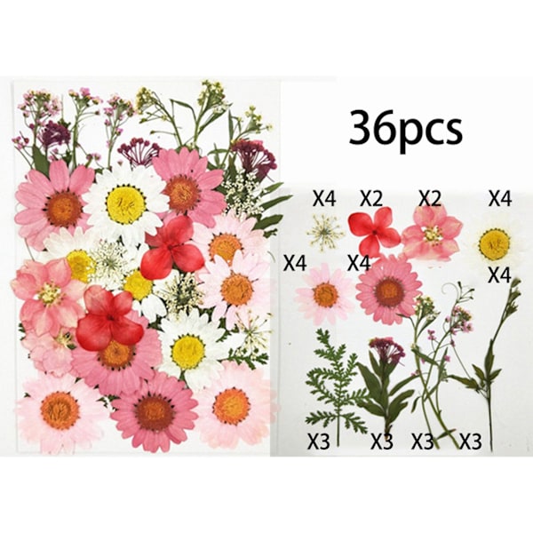 72 stk ekte tørkede pressede blomsterblader for DIY stearinlys harpiks smykker spiker anheng håndverk Ma