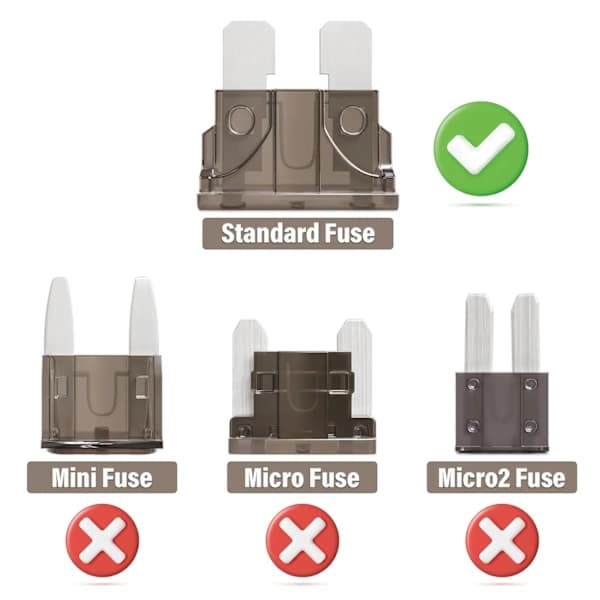 50 Stykker 2A Medium Bil Sikring 2Amp Standard Bilsikringer til Bil Motorcykel Lastbil 2 Ampere Bilsikring
