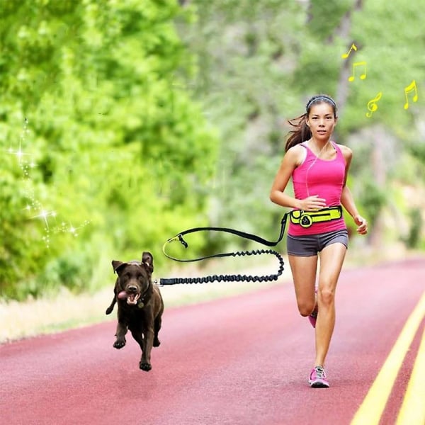 Håndfri hundekobbel med midjebelte for kjæledyrgåing løping jogging justerbar kobbel bryststropp trekk reflekterende tau