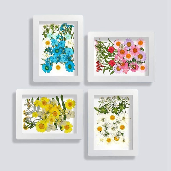 72 stk ekte tørkede pressede blomsterblader for DIY stearinlys harpiks smykker spiker anheng håndverk Ma