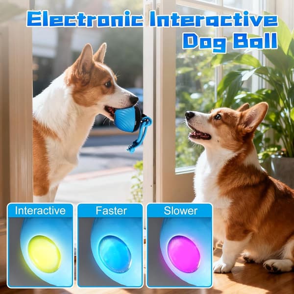 Interaktiv hundelegetøjsbold, smart tilfældigt rullende LED-bold med reb, USB genopladelig, til små til mellemstore hunde, blå