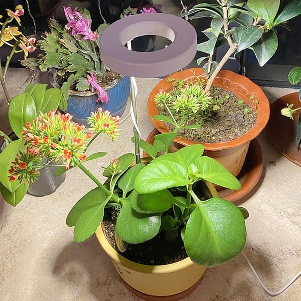 Plant Grow Light, Adjustable Height, Plant Growing Lamp with On/Off Timer (2/4/8 Hours) - Suitable for Small Plants