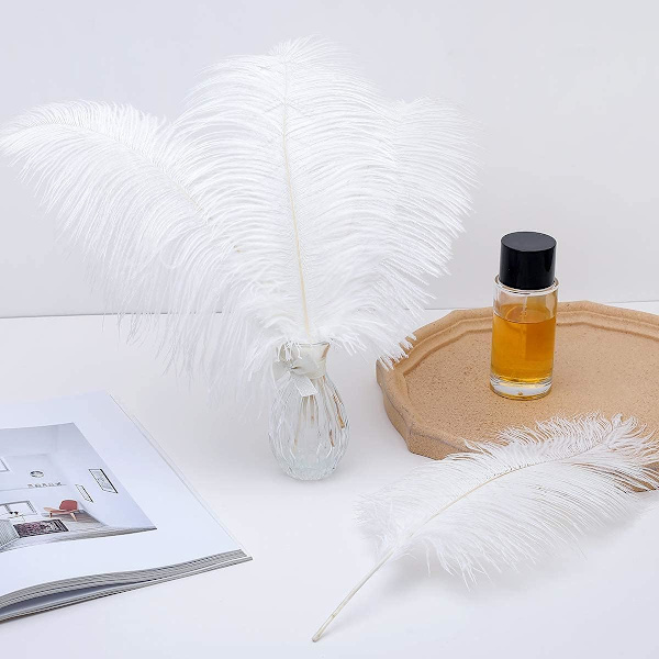 24 stk. Champagne Strudsefjer Bulk 10-12 tommer Boho Fjer til
