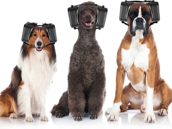Høreværn til hunde, støjreducerende høreværn til hunde, støjreducerende hovedtelefoner til hunde, hørebeskyttelse til hunde