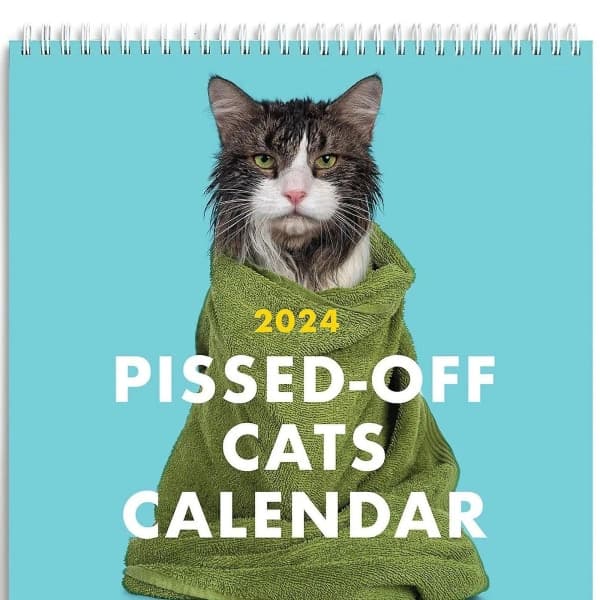 2024 Pissed-off Cats -seinäkalenteri