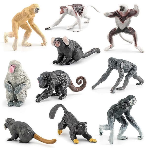 10 stk. realistiske primatfigurer, simulerede dyrefigurer, pædagogisk legetøj til børn